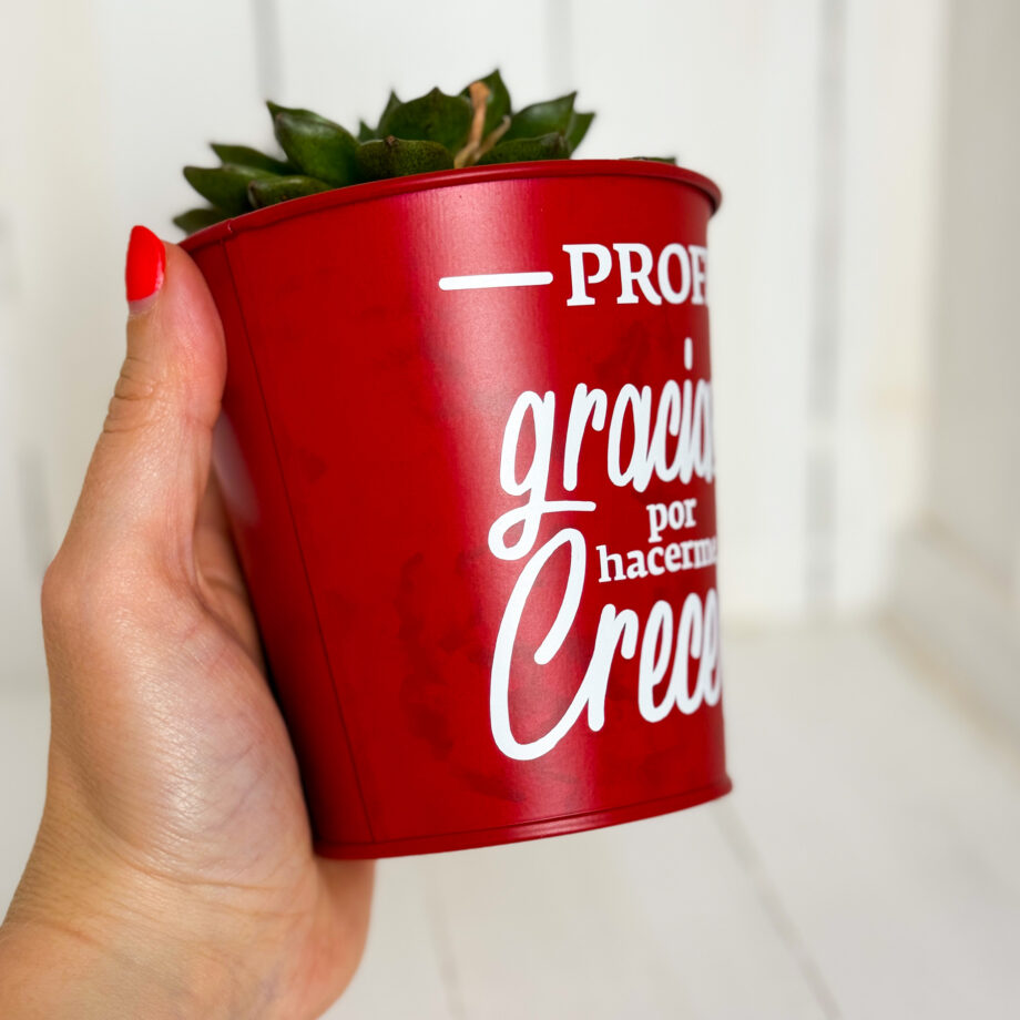 Planta Regalo Profesor/a